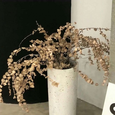 Furry绘画细节灵感兽圈社群